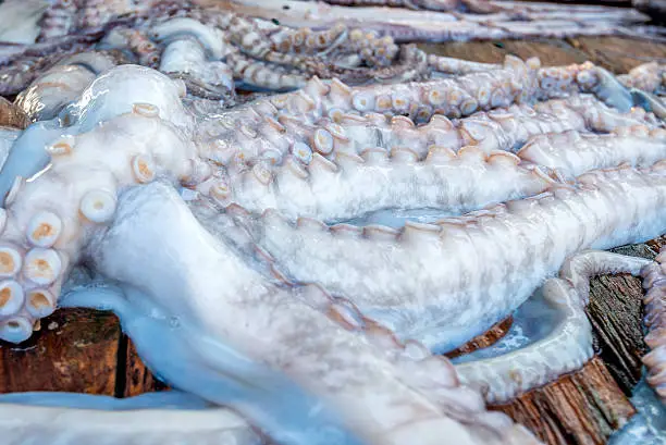 Fresh raw octopus in fish market in Asia