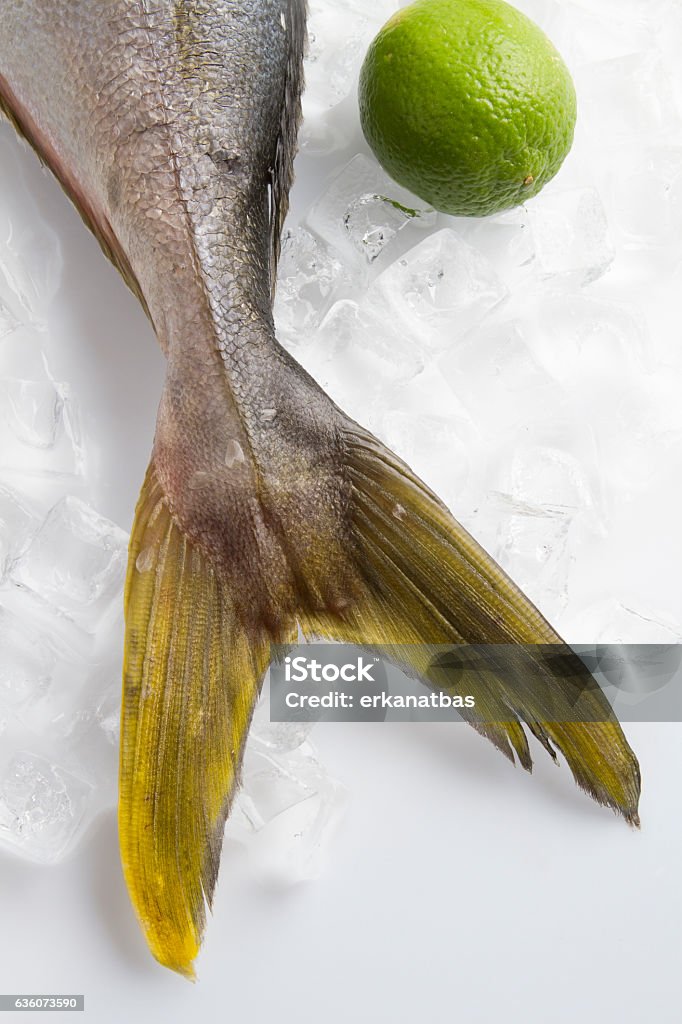 High Top Fish Raw Fish Top View Stock Photo - Download Image Now - Bluefish, Catch of ...