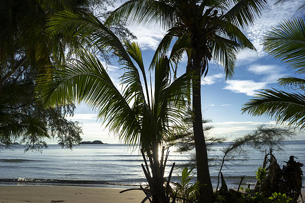 Tropical Beach View stock photo