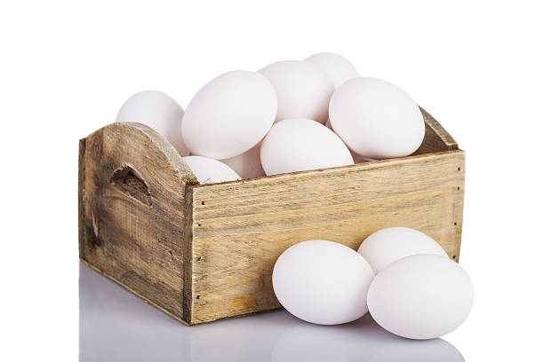 viele eier im feld - cholesterol ellipse shell box stock-fotos und bilder