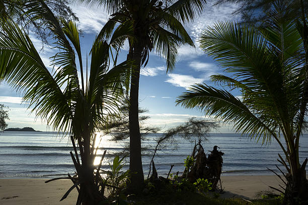 Tropical Beach View stock photo