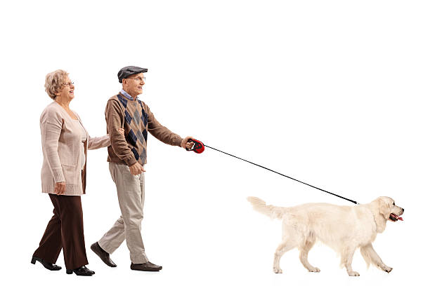 istock Elderly couple walking a dog 636079120