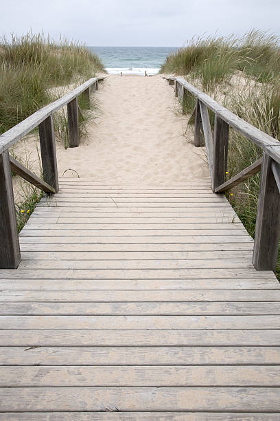 istock El Palmar Beach, Cadiz, Spain 636086756