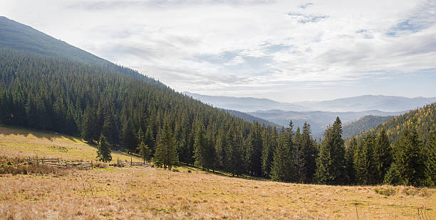 istock Panoramic view of a mountain valley in the fall. Carpathians 636087176