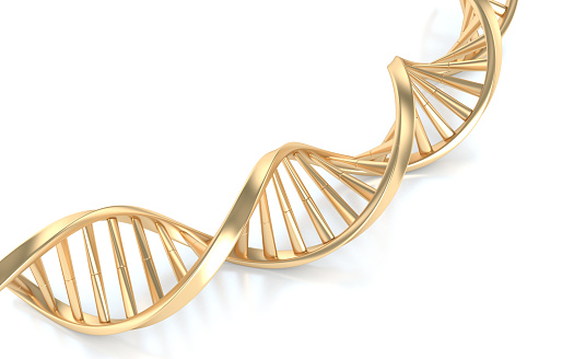 Gold DNA structure on white background