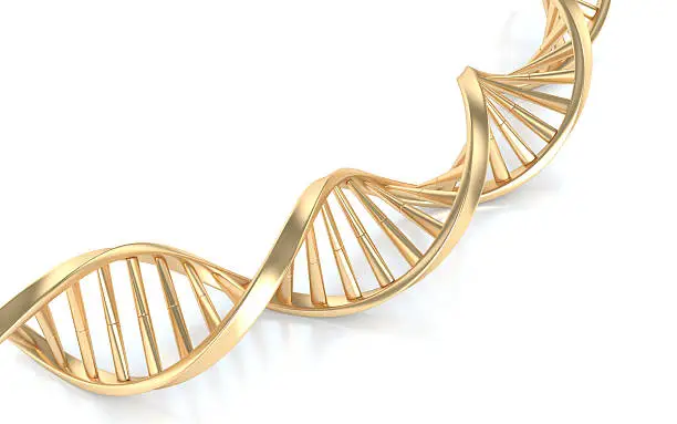 Photo of Gold DNA Structure