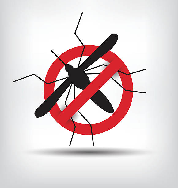 ilustrações, clipart, desenhos animados e ícones de parar o sinal de mosquito. ilustração vetorial. - dengue