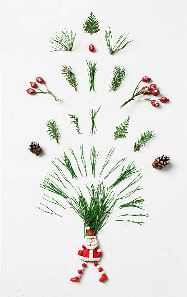 istock Winter firework splash of needles, cones, berries from Santa. 636088766