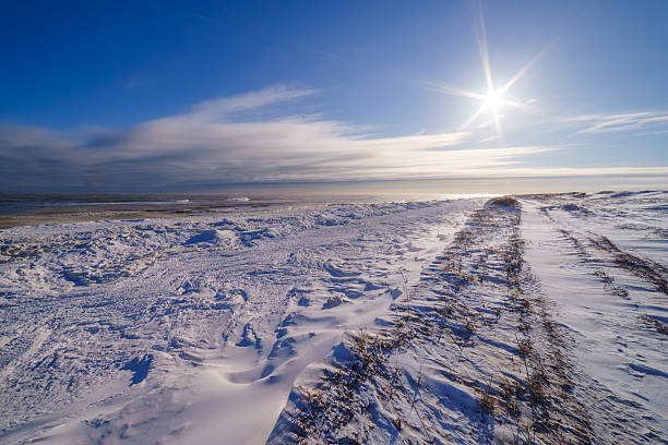 istock Winter sun in the seaside, Sakhalin island 636089614