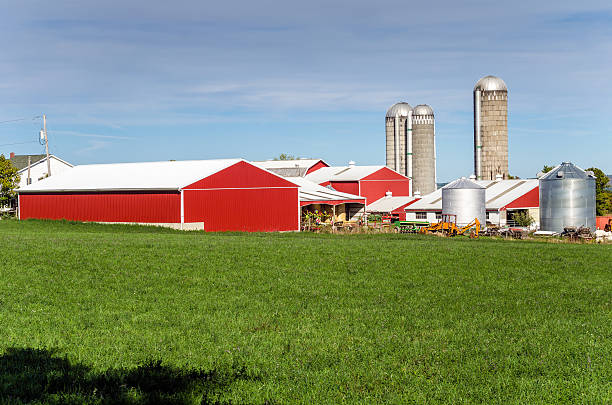 istock Red Farm Buildings and Blue Sky 636091902