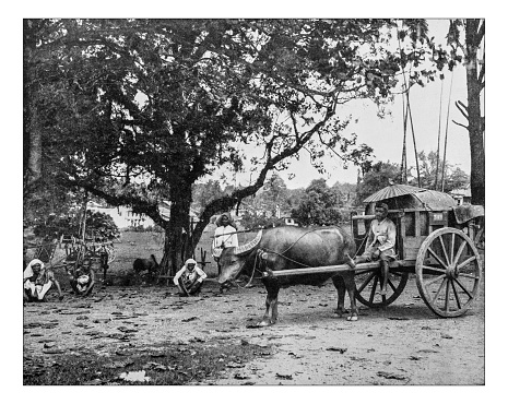 Antique photograph of  Singapore water carriers' wagon -19th century