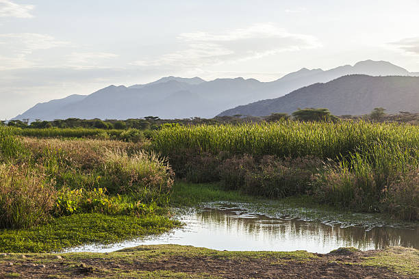 istock Landscape with small pond in foreground. Omo Valley. Ethiopia. 636096492