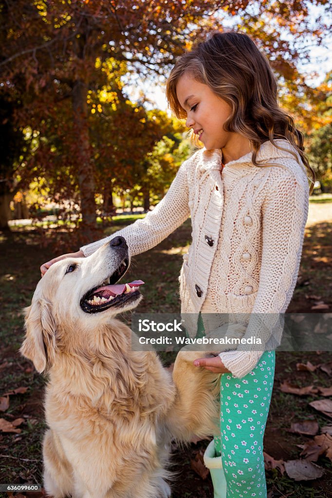 어린 소녀에게 발을 주는 개 - 로열티 프리 가을 스톡 사진