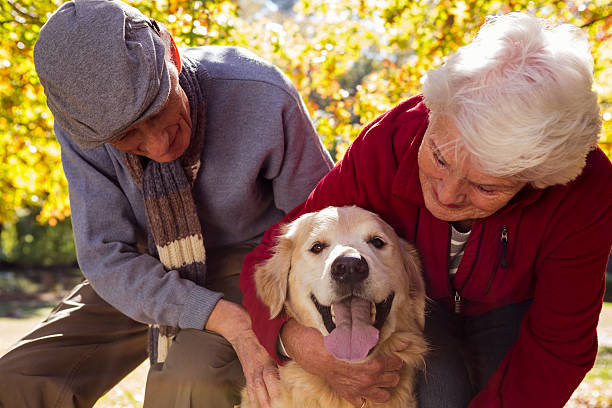 istock Elderly couple with their pet dog 636099664