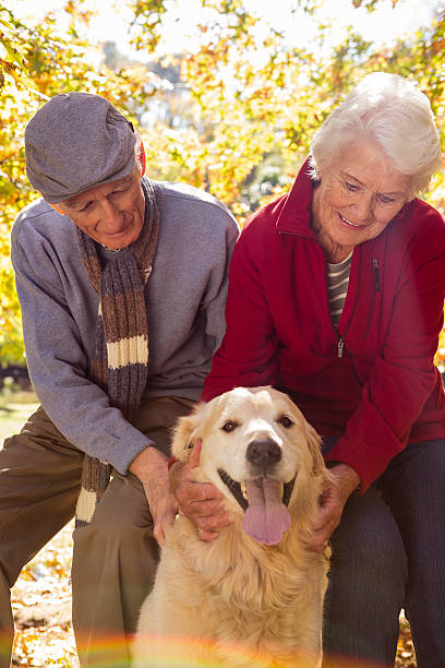 istock Elderly couple with their pet dog 636099712