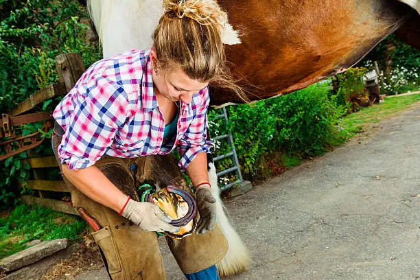 Female farrier fitting a horseshoe on to a horse's hoof in a farmyard.