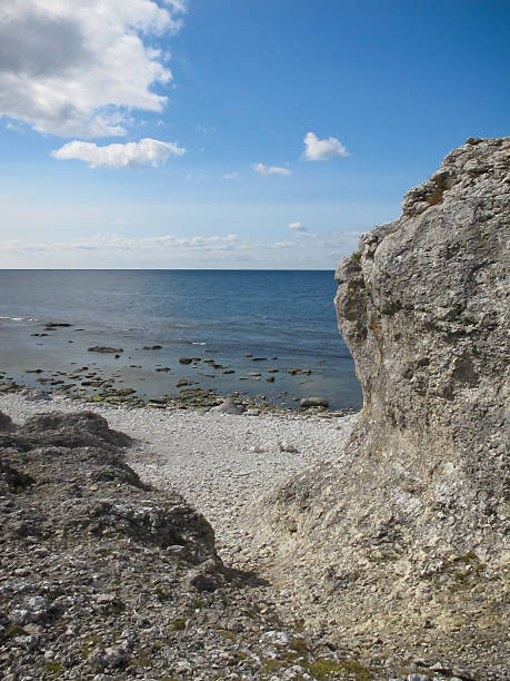 istock Beach on the Faro island, Sweden 636100344