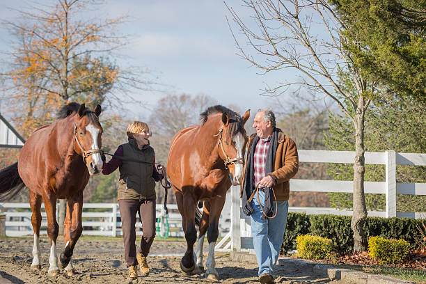 istock Senior Citizen Couple Leading Horses at Ranch 636102404