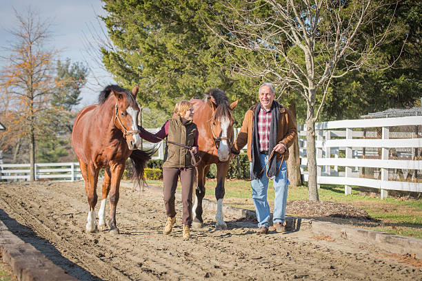 istock Senior Citizen Couple Leading Horses at Ranch 636102704