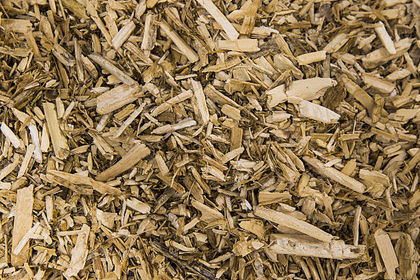 istock Pile of wood debris Texture 636102788