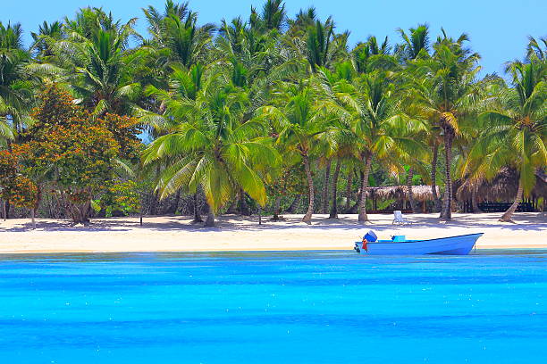 istock Tropical paradise: turquoise sand beach, boat, Green palm trees 636105196