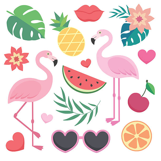 Vector set of tropical illustrations. Vector set of tropical illustrations. Palm leaves, flamingos, sunglasses, watermelon, hearts, lips. flamingo stock illustrations