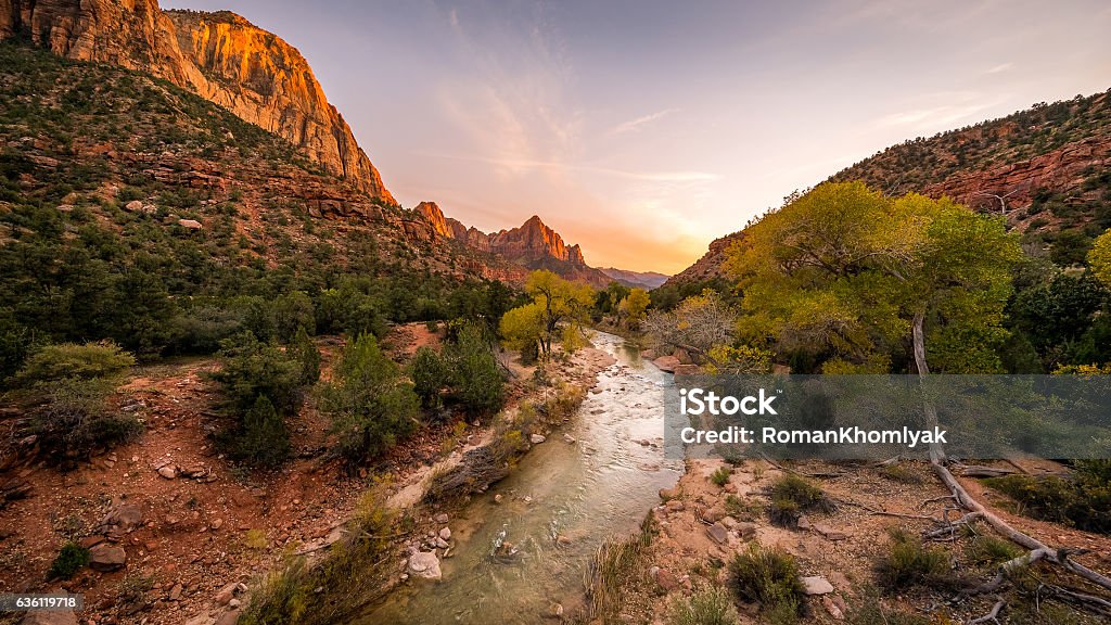 The rays of the sun illuminate red cliffs and river. Park at sunset. A beautiful pink sky. Zion National Park, Utah, USA Desert Area Stock Photo