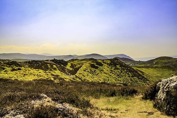 istock Conwy in Wales 636121770