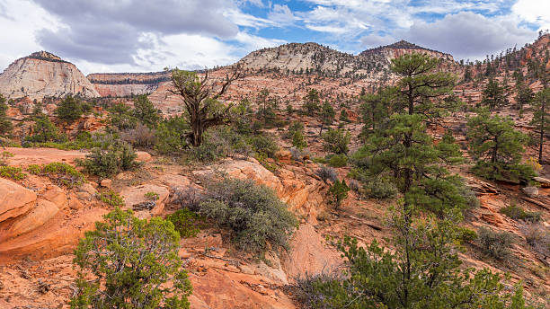 istock Breathtaking view of the orange cliffs. 636122262