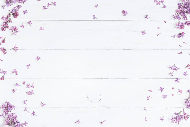 istock Lilac flowers on white wooden background. Top view, flat lay 636122692
