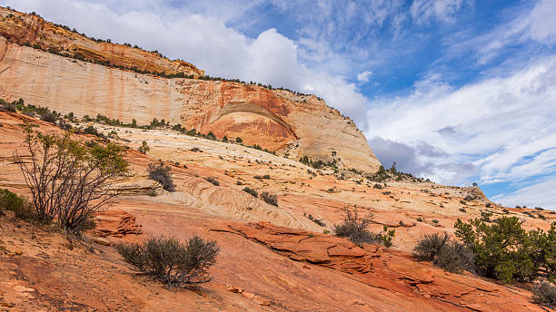 istock Breathtaking view of the orange cliffs. 636123466