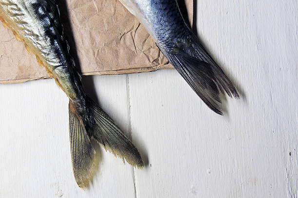Kippering 250+ Kipper Recipes Stock Photos, Pictures & Royalty-Free Images - iStock