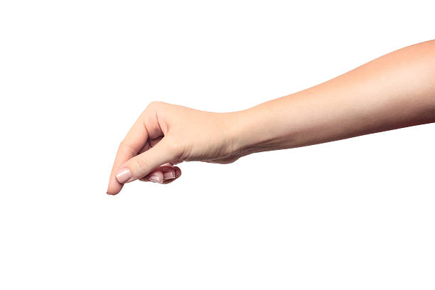 istock Beautiful female hand holding object isolated on white background 636135316