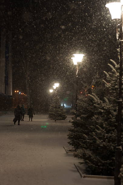 istock Evening snowfall in a quiet street 636137940