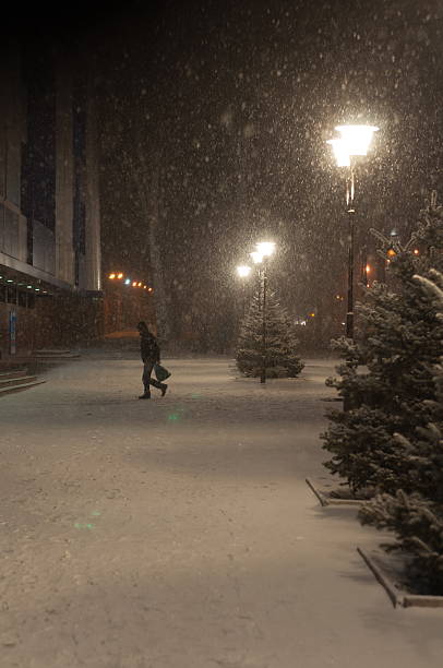 istock Evening snowfall in a quiet street 636137972