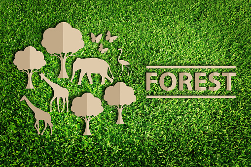Forest - Paper cut of eco on green grass