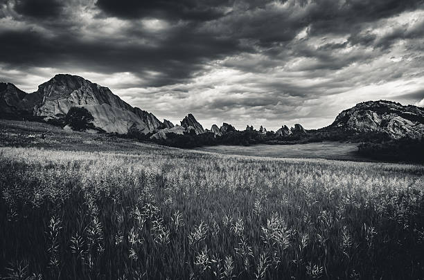 istock Grassy field on an overcast day. 636139282