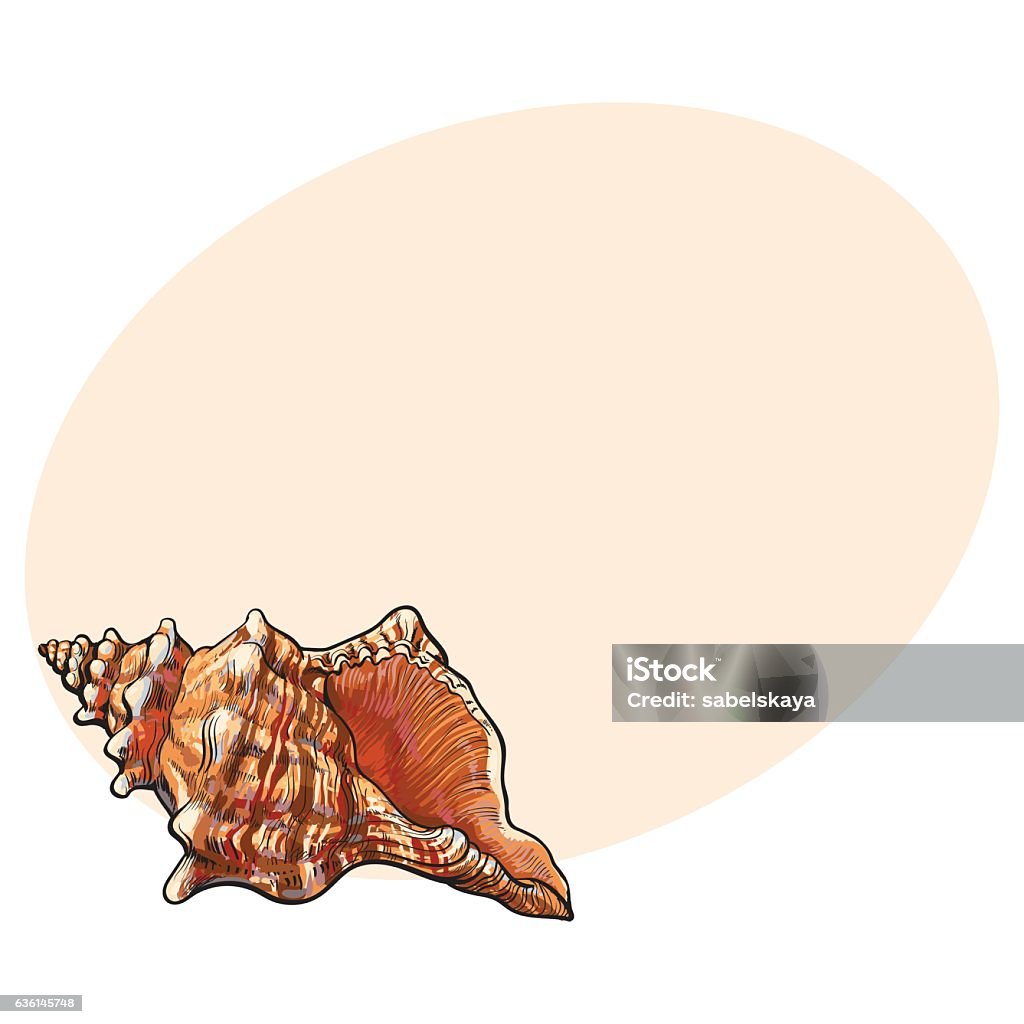 Colorful Spiral Conch Sea Shell Isolated Sketch Style Vector ...