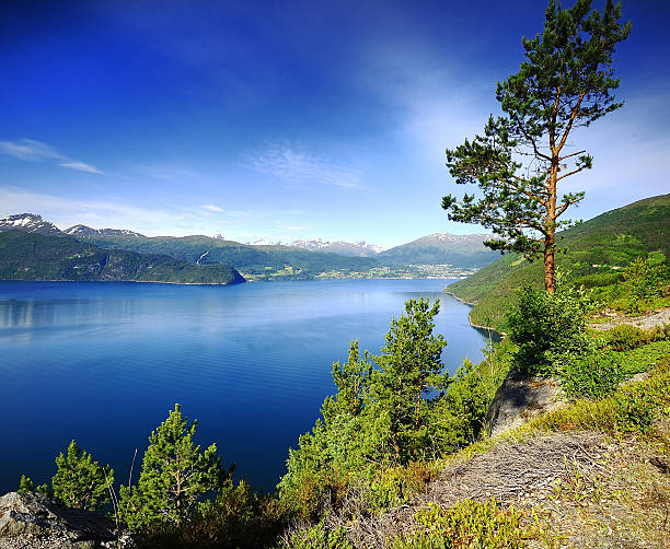 istock Sunlight on the fjord 636146542
