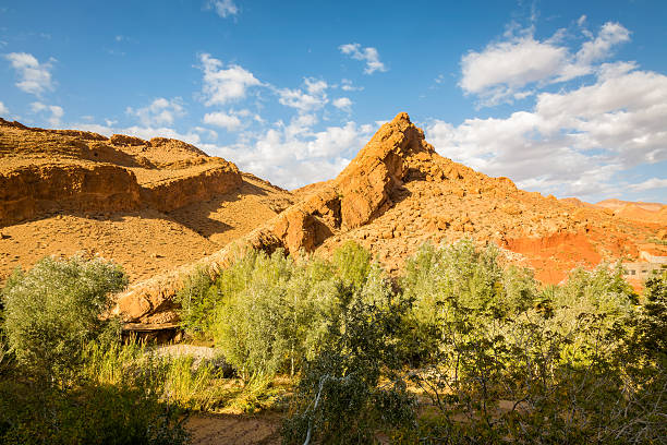 istock Gorges du Dades in Morocco 636158642