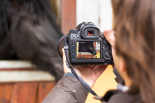 Man taking photographs a horse on stable