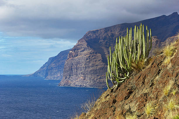 istock Los Gigantes Cliffs, Tenerife, Canary Islands 636160356