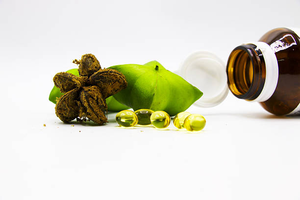 istock Sacha Inchi or Inca peanut on white background 636163960