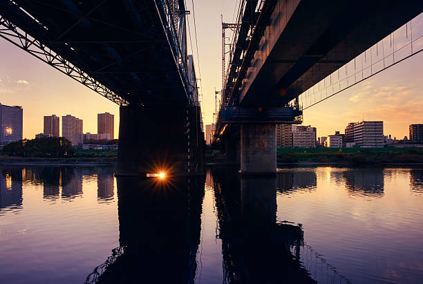 Viaduct and high-rise building. Shore on a river. Tama river in Tokyo. A skyscraper on the other side. View of the suburbs.