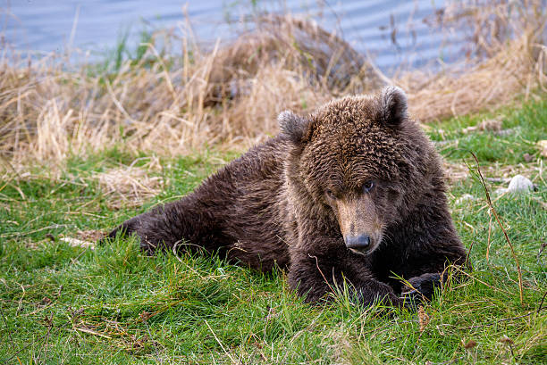 istock What are you looking at? 636171198