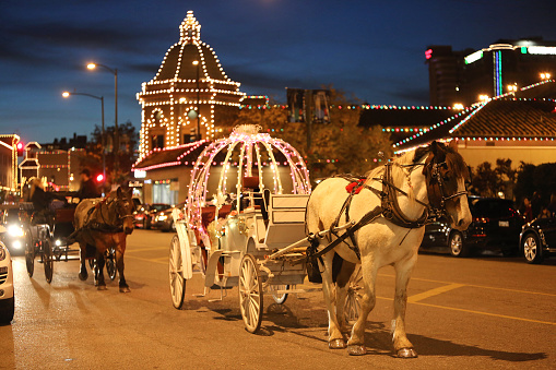 Beautiful Christmas Lights Carriage Ride.