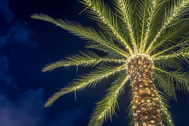 サーフサイドフロリダトロピカルウィンターパームツリーはクリスマスライトで飾られています - dade county ストックフォトと画像
