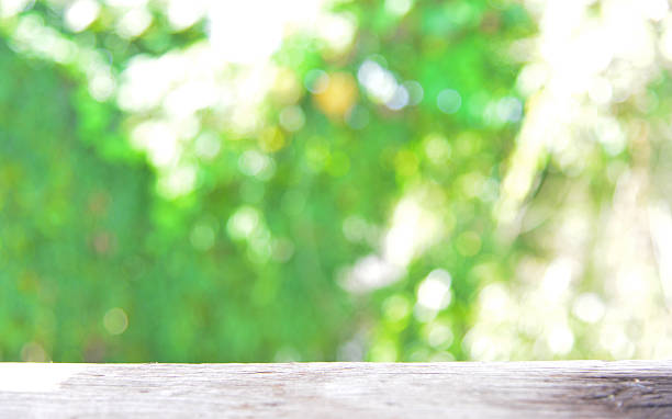istock free space on green nature background. 636172816
