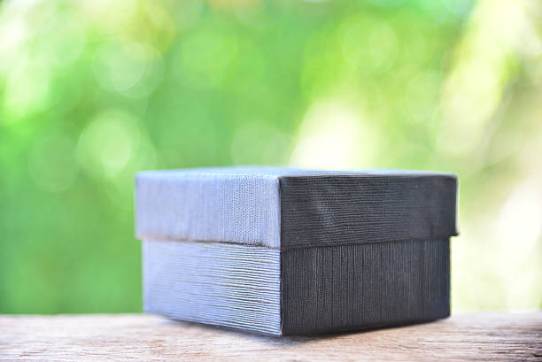 istock Black box on green nature background 636173360