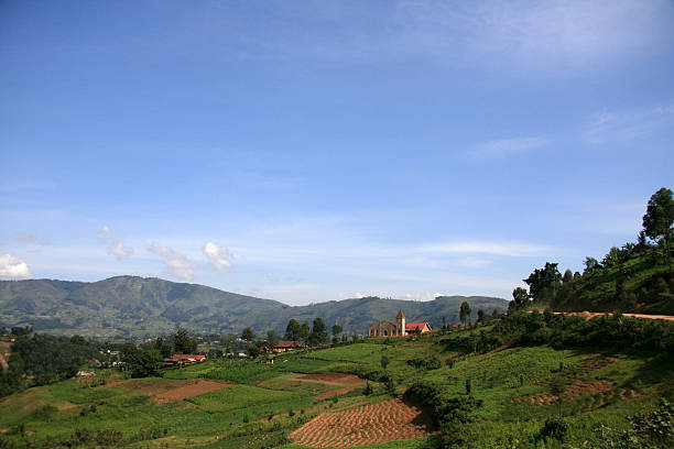 istock Rice Fields in Kisoro District in Uganda - The Pearl 636174104